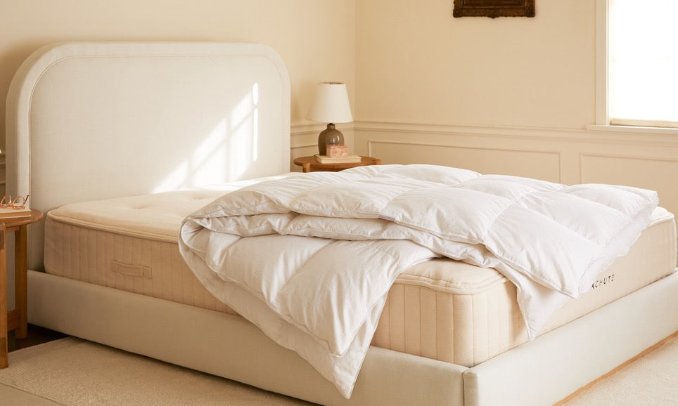 Down Comforter 101: What is Fill Power?