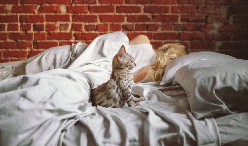 How to Sleep When You Have a Noisy Housemate