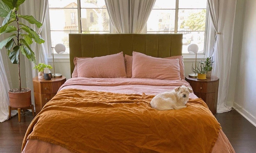 The Colors and Comforts of Ashley Hosmer’s Los Angeles Home