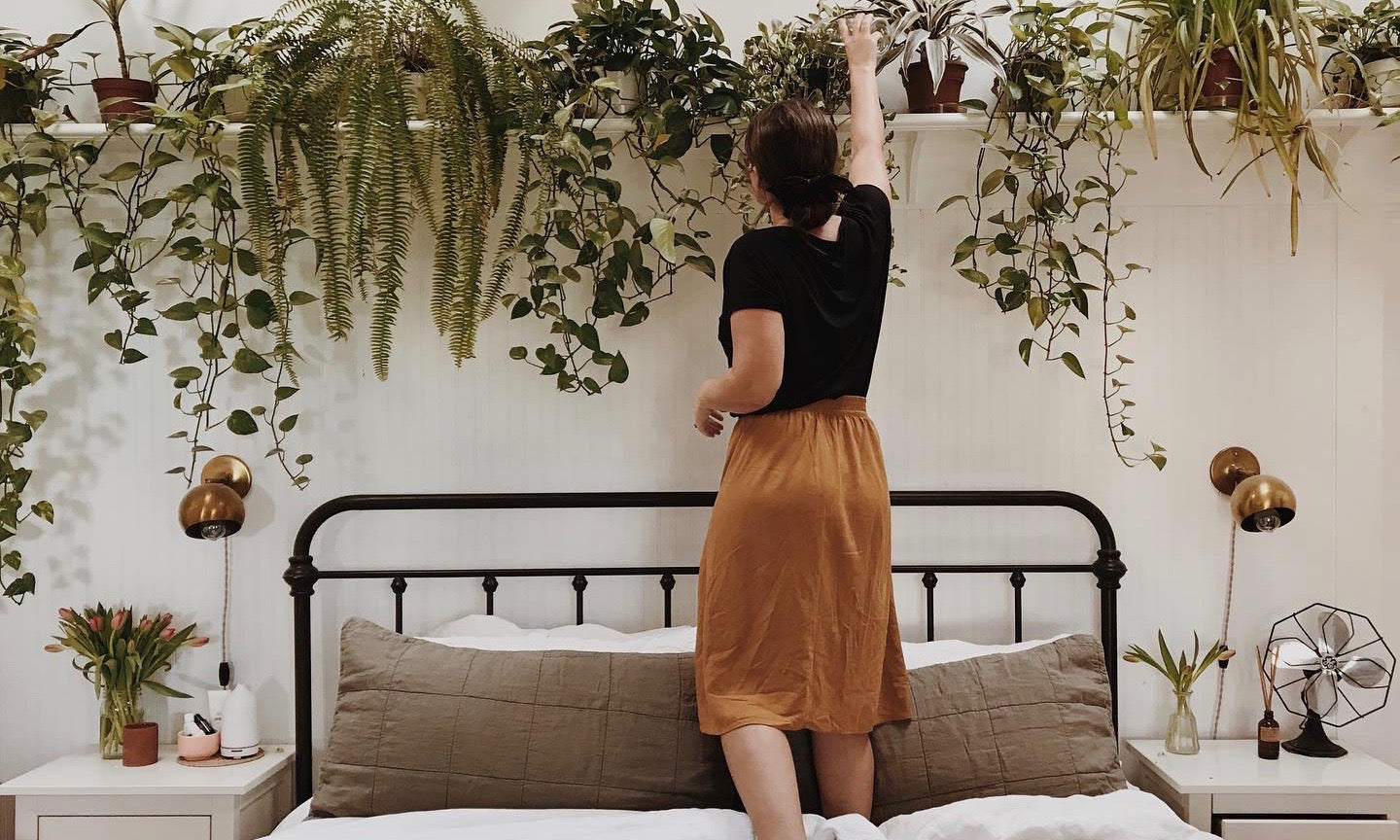 The Top 16 Indoor Plants For Clean Air in Your Home