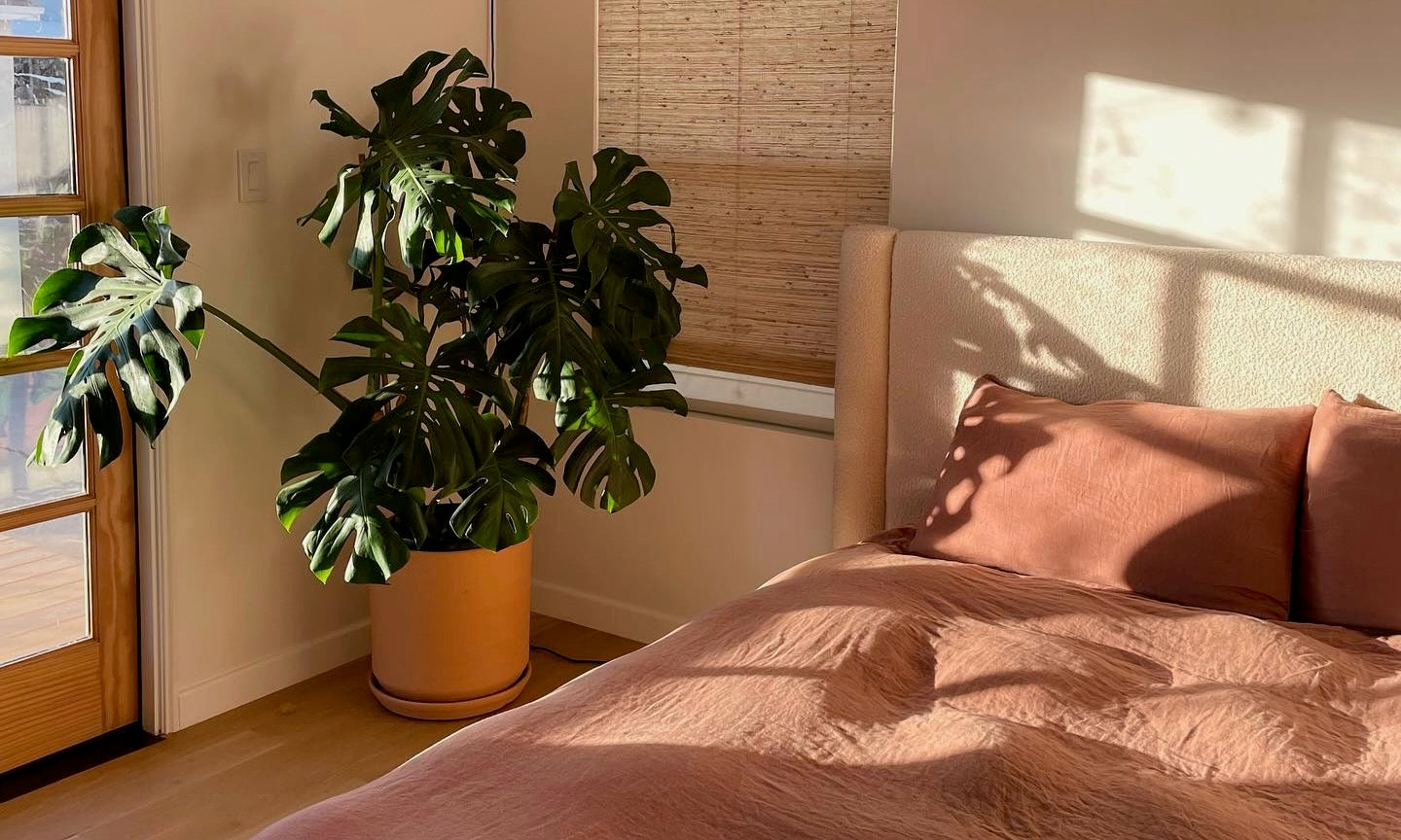 The Most Popular #MyParachuteHomes of Winter 2023: Color Edition